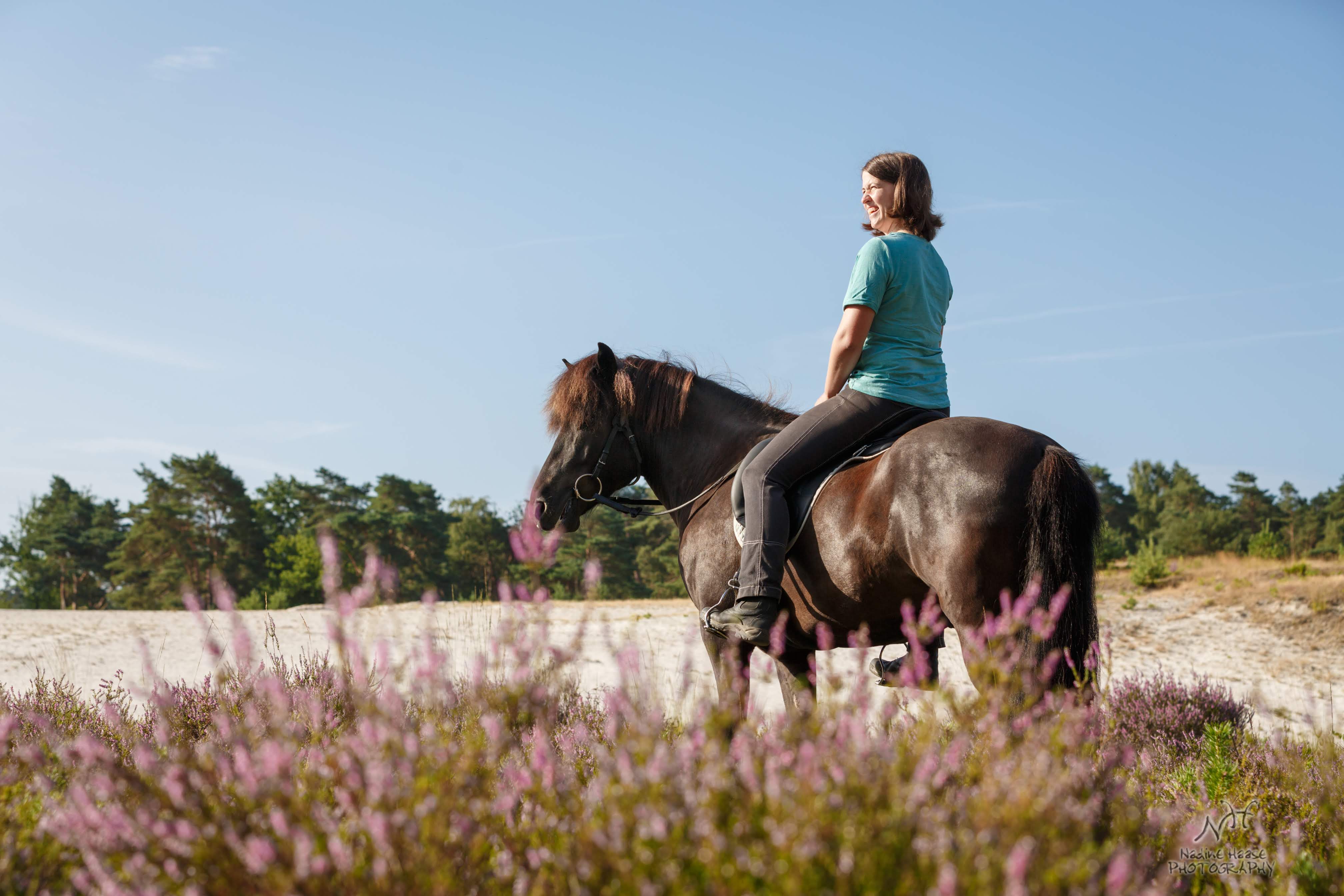 Spori Ausritt in der Heide
